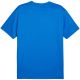 4. Puma TeamGoal Herren-Trikot blau 658636 02