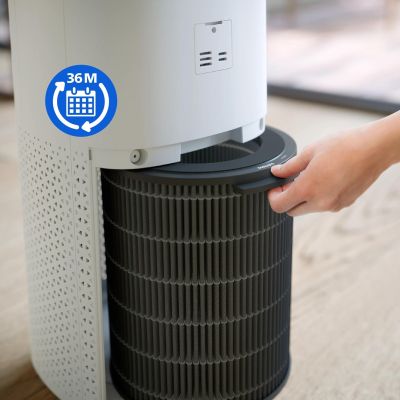 10. Philips 3-in-1-Filter, passend für 2-in-1-Luftreiniger: AC3737/10 NanoProtect HEPA Pro S3 Filter