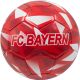 3. FUSSBALL FC BAYERN MÜNCHEN Y.5