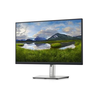 2. DELL LED-Monitor 23,8" P2423DE