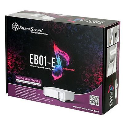 4. Silverstone EB01-E Silber
