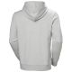 6. Helly Hansen Herren HH LOGO HOODIE 54582 949