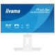 3. Iiyama TFT XUB2293HSU IPS 21,5''/HDMI/DP/2xUSB 2.0 Monitor - Flachbildschirm - 54,6 cm