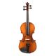 Hora V200 - 4/4 Violine
