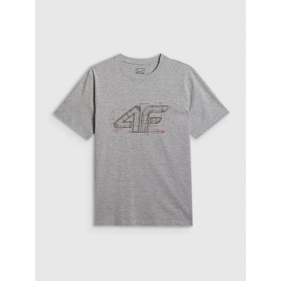 5. Herren-T-Shirt mit Print und Regular Fit 4F 4FRSS26TTSHM3989-10S