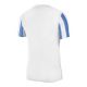 2. Nike Striped Division IV M CW3813-103 Fußballtrikot