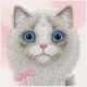 8. Nimmy Big Eyed Pet 2.0 Katzen-Schutzhülle für iPhone 17, Rosa