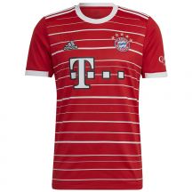 Adidas FC Bayern H Jsy M H39900 T-Shirt