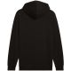 10. Puma ESS No.1 Logo Hoodie FL M 682570 01