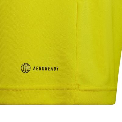 9. adidas Entrada 22 Trikot Jr HI2127