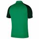 4. Nike Trophy IV Y Jsy Jr T-Shirt BV6749 302
