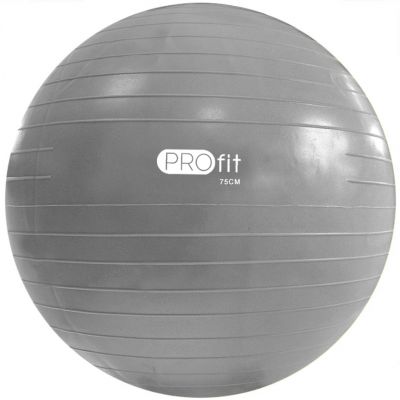 204. PROfit 55cm Gymnastikball mit Pumpe DK2102