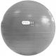 204. PROfit 55cm Gymnastikball mit Pumpe DK2102