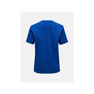 2. PEAK PERFORMANCE M Explore Graphic Tee Herren-T-Shirt Blau
