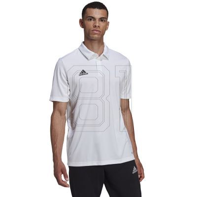 2. Adidas Entrada 22 Poloshirt M HC5067