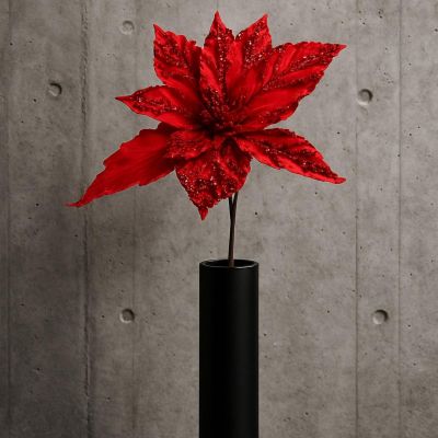 6. Stern von Bethlehem 30 cm