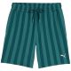 2. Puma Class 8 Herrenshorts grün 692355 41