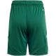 3. adidas Tiro 24 Jr IT2409 Shorts