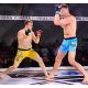 21. MMA-Sparring-Handschuhe L/XL – Phantomrot – Valor-Serie | DBX Bushido