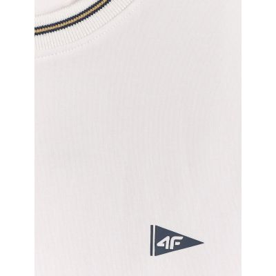 6. Glattes Herren-T-Shirt im Regular Fit 4F 4FRSS26TTSHM3997-10S