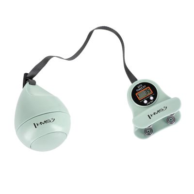 20. Hula Hop HMS HHM13 mit Magneten, Gewicht und Zähler grün