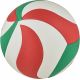 2. Molten V5M4000-X Volleyball