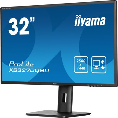 4. IIYAMA LED 31,5"-Monitor