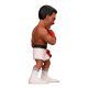 5. MINIX – MUHAMMAD ALI