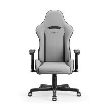 DIABLO X-ST4RTER Gaming-Stuhl, grau