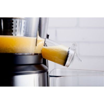 18. ELDOM Slow Juicer PJ400 400W Silber-Schwarz, BPA-frei, Schnecke 80 [U/min]