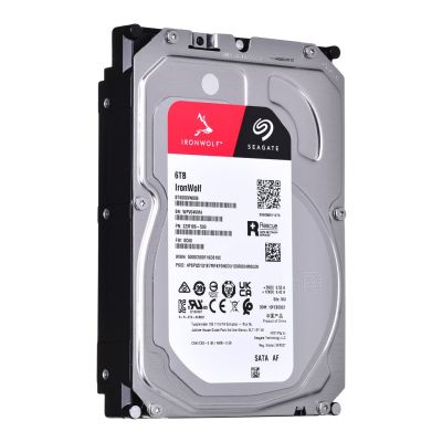 2. Seagate IronWolf 6 TB 3,5" SATA ST6000VN006 HDD Festplatte