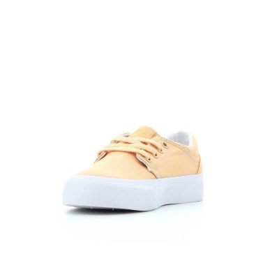 13. DC Trase TX SRADGS300061 PHS