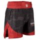 5. Kicklight Trainingsshorts MASTERS