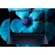 7. HP EliteBook Ultra G1i Next Gen AI PC Copilot+ PC Intel Core Ultra 5 228V Laptop 35,6 cm (14") 2,8K 32 GB LPDDR5x-SDRAM 512 GB SSD Wi-Fi 7 (802.11be) Windows 11 Pro Blau