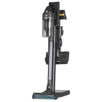 17. Samsung Jet 95 Staubsauger VS20C9554TK/WA