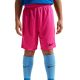 5. Nike Dry Park III NB K Kindershorts Pink BV6865 616