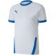 4. Puma teamGOAL 23 Trikot M 704171 12