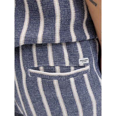 5. Jack&Jones kurze Jogginghose JPSTJAIDEN COBA STRIPE JOG SHORTS REG SN 12274413 OCEAN CAVERN