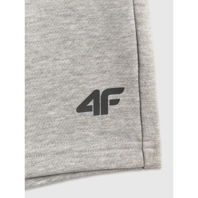 8. Herren-Jogginghose 4F 4FRSS26TSHOM0970-27M