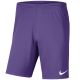 Nike Dry Park III NB K Kindershorts Lila BV6865 507