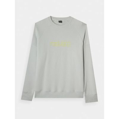 Sweatshirt 4F M 4FWAW24TSWSM1255-25S