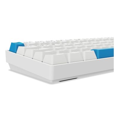5. Sharkoon Skiller SGK50 S4 Gen2 PBT Wei-Gel RGB Gaming-Tastatur