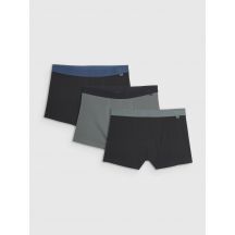 Herren-Boxershorts (3er-Pack) 4F 4FRMM00UBXSM068-90S