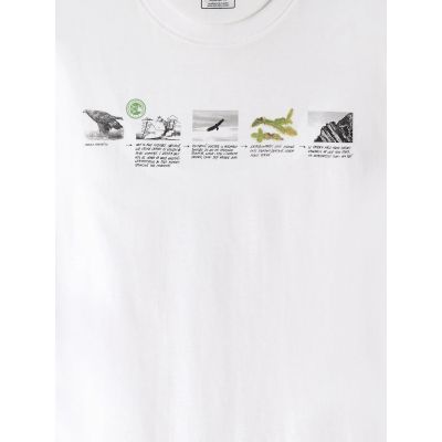6. Herren-T-Shirt mit Aufdruck, regulär, Größe 4F 4FKAW26TTSHM4476-10S