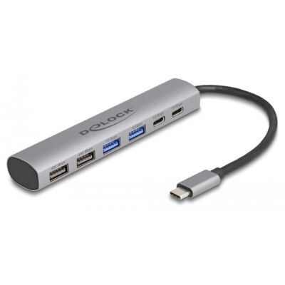 2. DeLOCK 6-Port-USB-Hub mit 4 x USB Typ-A-Buchsen und 2 x USB Typ-C-Buchsen