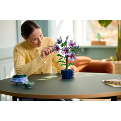 10. LEGO 10372 Botanische Kollektion – Hibiskus