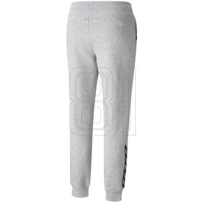 4. Puma Power Pants FL W 589546 04
