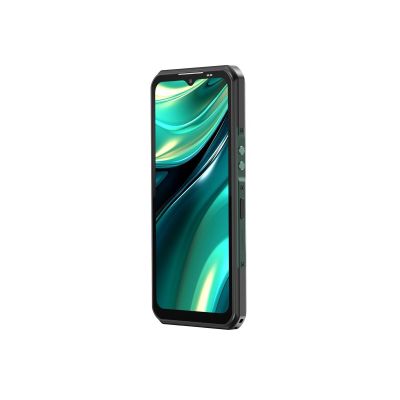 4. Oukitel WP39 6/256 11000mAh DS Smartphone. Grün