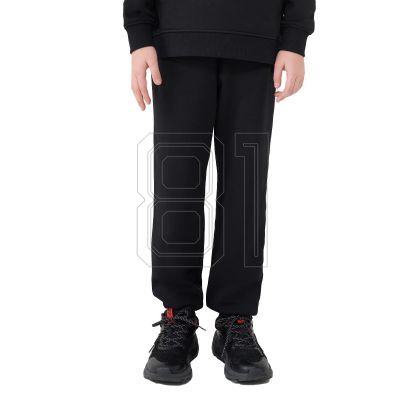 3. Trousers 4F Jr 4FJWMM00TTROM1188-20S