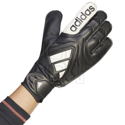 3. adidas Copa GL Club M Handschuhe JY0625